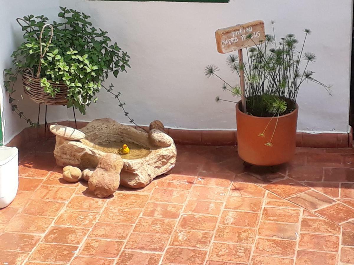 Posada Suenos De Antonio Баричара Экстерьер фото